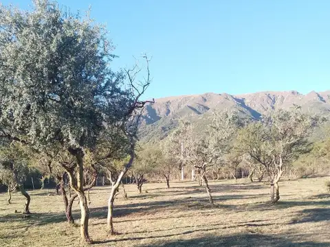 Casa en Venta en Merlo, USD 54.999