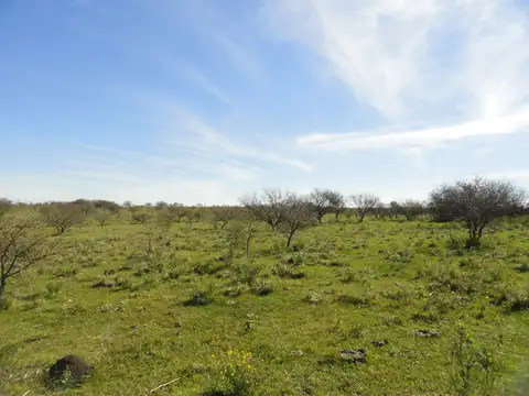 Venta campo mixto