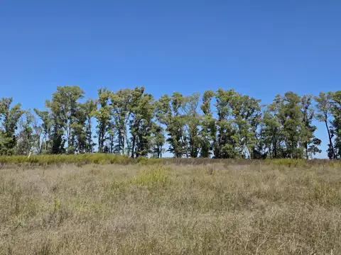 Campo en Venta de 10  ha