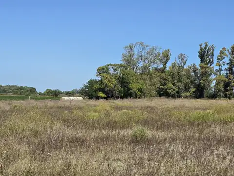 Chacra alomada en San Antonio de Areco