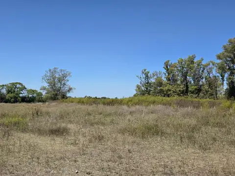 Campo en Venta de 10  ha