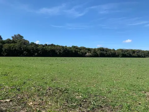 Campo en venta - 32.165Mts2 - Mercedes