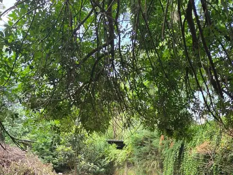 Casa en Del Viso