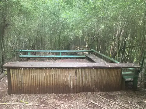 VENDO IMPRESIONANTE GRANJA PESQUE Y PAGUE EN POSADAS MNES