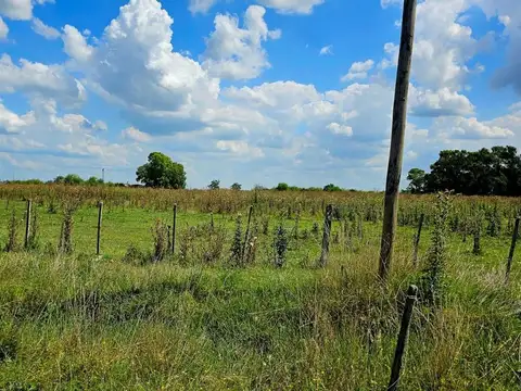 Venta de 14 Hectareas - San Vicente