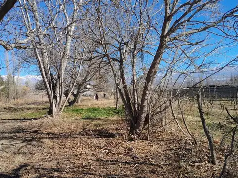 calle Ahumada y callejon publico 100