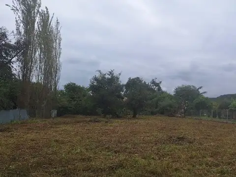 Terreno en Venta de 1247,0 m2