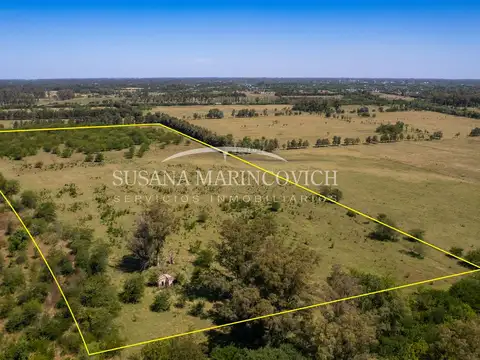 Fracción 12ha en venta sobre Ruta 41 – Mercedes