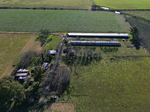Vendo Campo de 21 Has con Gja Avícola y 2 Casas en Colonia Elía, E R