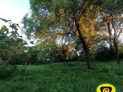 GUADALAJARA  al 2750