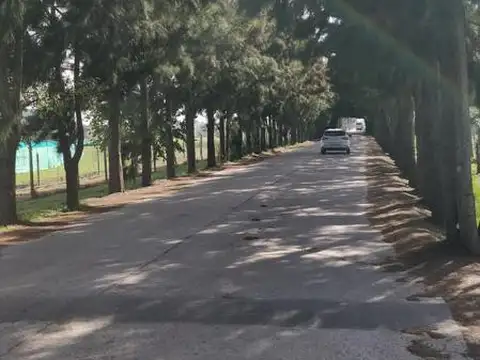 Terreno en Venta de 719,0 m2