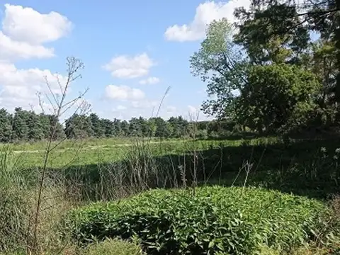 VENTA TERRENO 2.5 HAS  ZONA INDUSTRIAL. MORENO