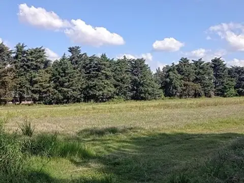 TENIENTE GRAL. RICHIERI ,CUARTEL V 6200