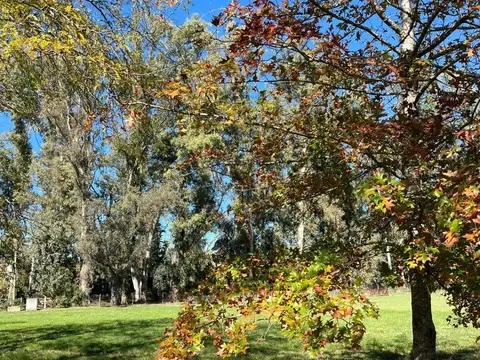 Terreno en Venta en Lujan, USD 15.000