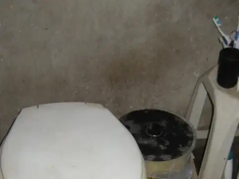 VERNIER 100