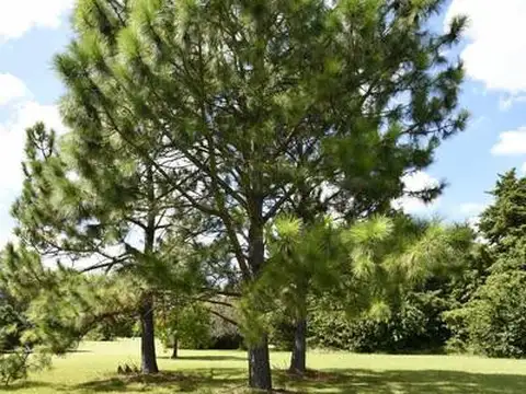 Terreno en Venta en San Diego Country Club, USD 650.000