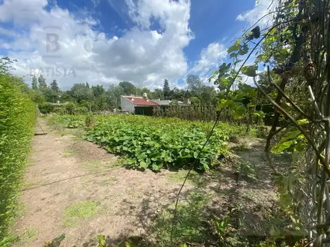 Terreno en Venta en Villa Parque Sicardi, USD 20.000