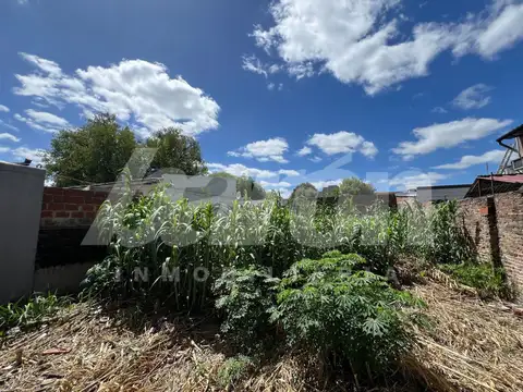 Terreno en Venta 10  mts Frente