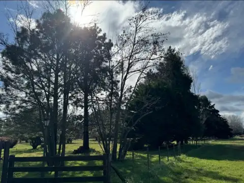 Casa en Venta de 5 dormitorios