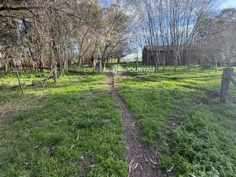 CAMPO ABIERTO 100