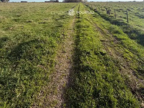 Campo - Venta - Argentina, General Paz
