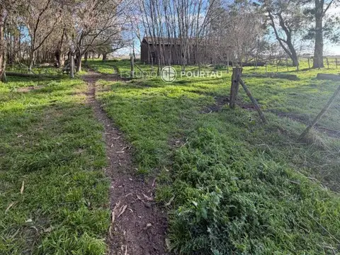 Campo - Venta - Argentina, General Paz