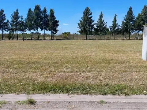 Terreno en Venta de 780,0 m2