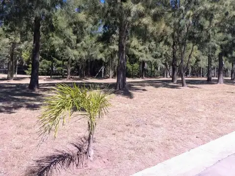 Barrio Belleville, Maipú  al 2200