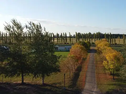 Terreno en Venta en Funes, USD 79.000