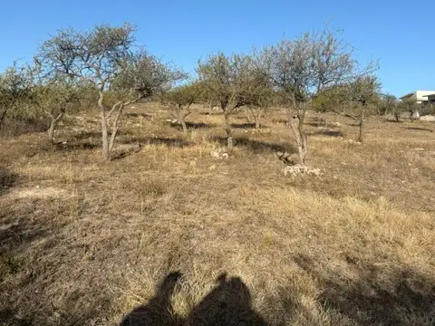 Terrenos en San Lorenzo 