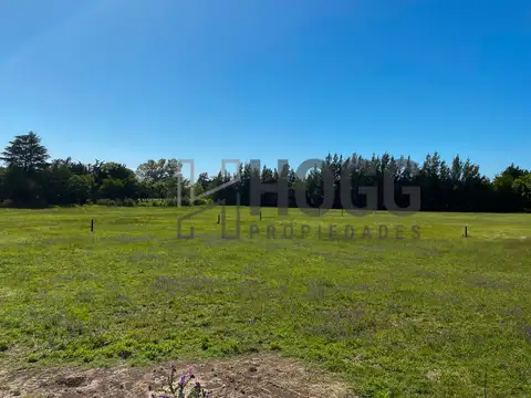 Emprendimiento - Entrega Enero 0001