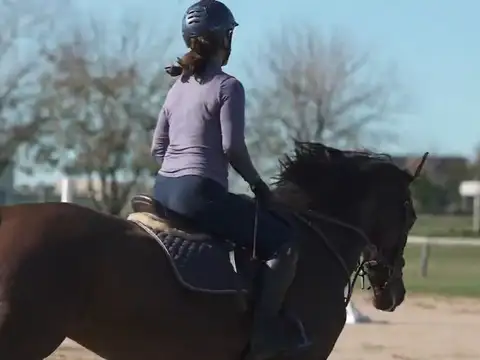 Terreno en Venta de 601,0 m2