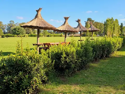 Terreno en Venta 62  mts Fondo