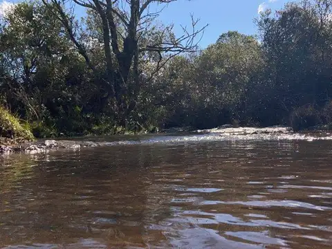 Campo en venta de 3ha ubicado sobre ruta 39 km 61500