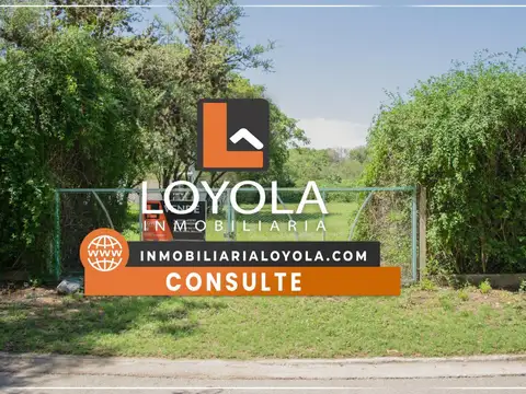 Terreno en Venta en Centro, Merlo