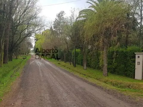 46/305 El Rodeo