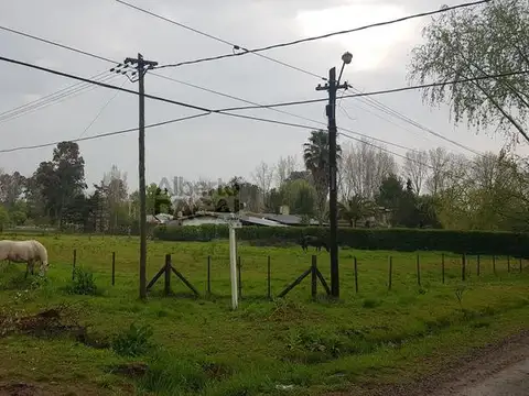 Terreno en Venta 50  mts Fondo