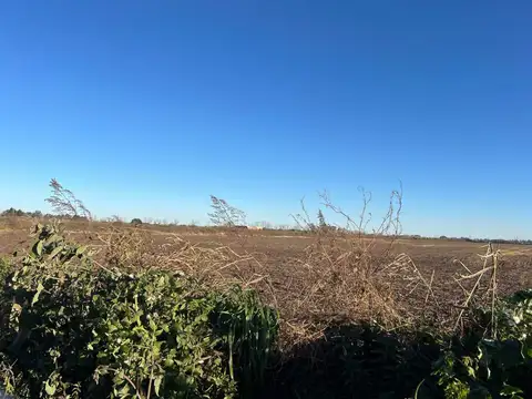 CAMPO 1,3 HECTÁREAS VENTA EN V. DEL PINO KM 44