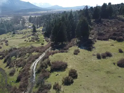 Campo en Venta ? 291 Hectáreas | Villa Lago Rivadavia