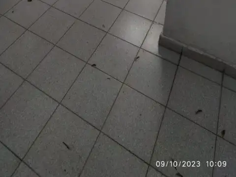 Depto Tipo Casa en Alquiler de Monoambiente