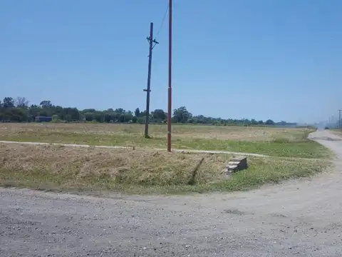 Ruta 11