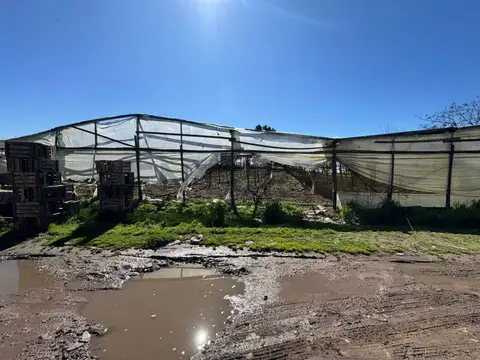 428 bis y ruta 36 , Piso 0