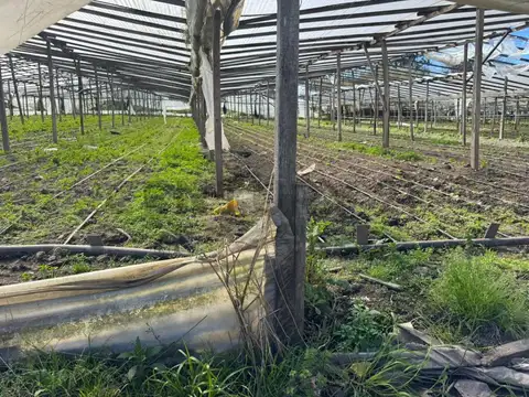 Fracción en venta en La Plata