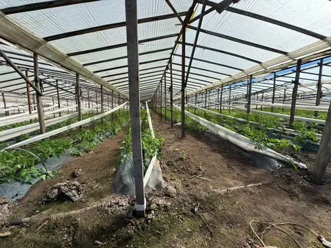Terreno en Venta 205,59  mts Fondo