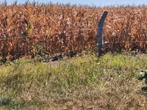 Zona Rural , Piso 0