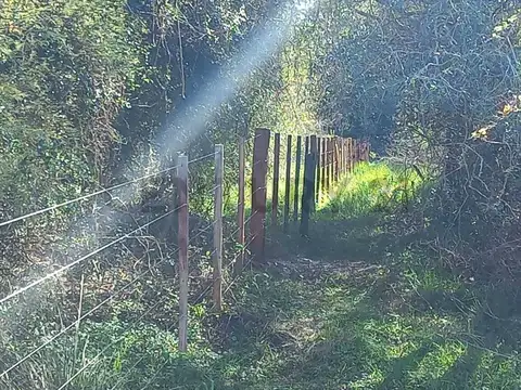 Campo en Venta de 119  ha