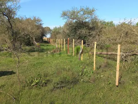 VENTA CAMPO 119.1042 HA LUCAS NORTE, VILLAGUAY, ENTRE RÍOS