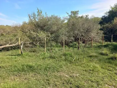 VENTA CAMPO 119.1042 HA LUCAS NORTE, VILLAGUAY, ENTRE RÍOS