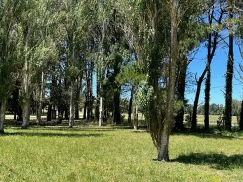 LOTE EN VENTA EN BARRIO PINARES DE SANTA CLARA
