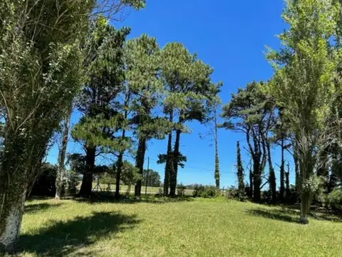 Terreno en Venta de 2028,0 m2